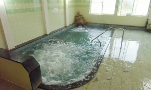松木田温泉　南外ふるさと館
