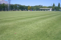 八橋運動公園健康広場